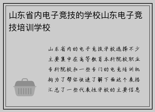 山东省内电子竞技的学校山东电子竞技培训学校